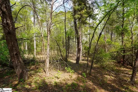 0 Cantrell Dr #LOT 2, Chesnee, SC 29323 photo 10