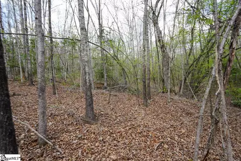 0 Cantrell Dr #LOT 2, Chesnee, SC 29323 photo 21