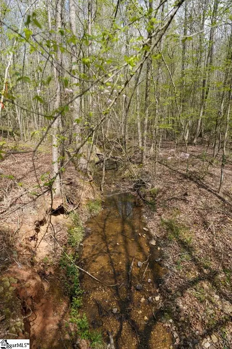 0 Cantrell Dr #LOT 2, Chesnee, SC 29323 photo 13