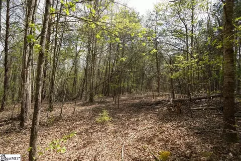 0 Cantrell Dr #LOT 2, Chesnee, SC 29323 photo 12