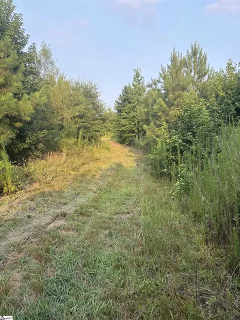 Other - 2610 Erwin Mill Rd, Honea Path, SC 29654 photo 11 of 14