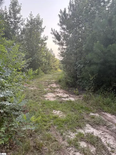 Other - 2610 Erwin Mill Rd, Honea Path, SC 29654 photo 14 of 14