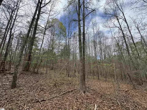 850 Lebanon Rd, Pendleton, SC 29670 photo 45