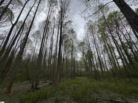 850 Lebanon Rd, Pendleton, SC 29670 photo 36