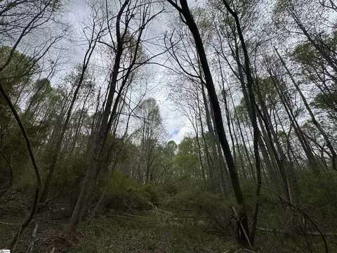 850 Lebanon Rd, Pendleton, SC 29670 photo 32