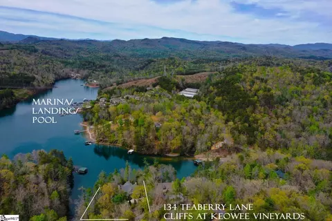 Other - 134 Teaberry Ln, Sunset, SC 29685 photo 13 of 13