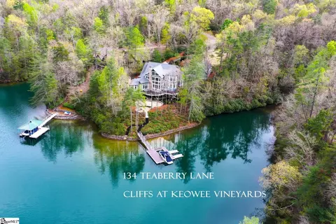 Other - 134 Teaberry Ln, Sunset, SC 29685 photo 2 of 13