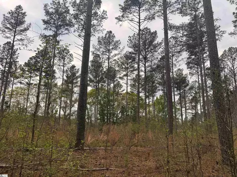 1515 Flat Rock Rd, Starr, SC 29684 photo 5
