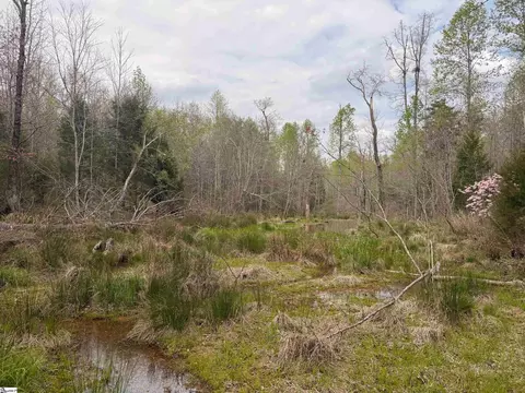 1515 Flat Rock Rd, Starr, SC 29684 photo 17