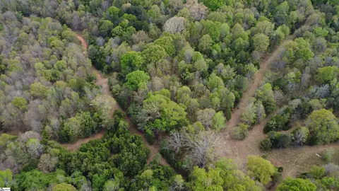 1515 Flat Rock Rd, Starr, SC 29684 photo 6