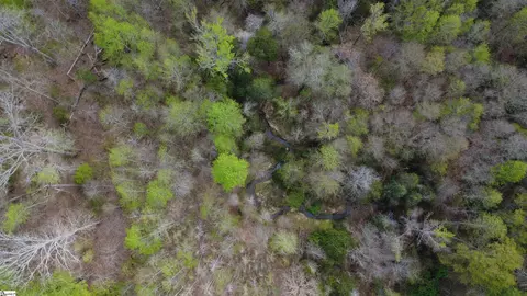 1515 Flat Rock Rd, Starr, SC 29684 photo 9