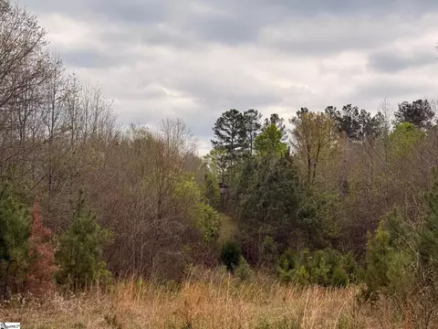 1515 Flat Rock Rd, Starr, SC 29684 photo 10