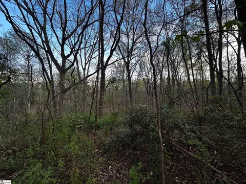 101 Sugarmill Ln, Moore, SC 29369 photo 4