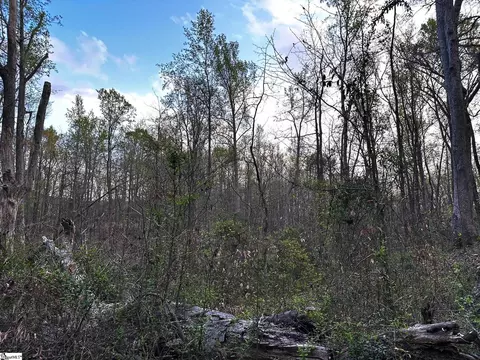 101 Sugarmill Ln, Moore, SC 29369 photo 6