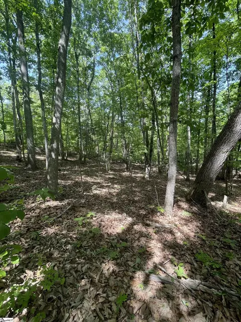 0 Packs Mountain Ridge Rd, Taylors, SC 29687