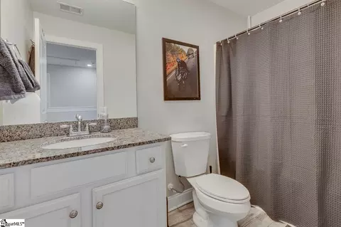 Bath - 115 Mayfield Crossing Ln, Greer, SC 29651 photo 2 of 3