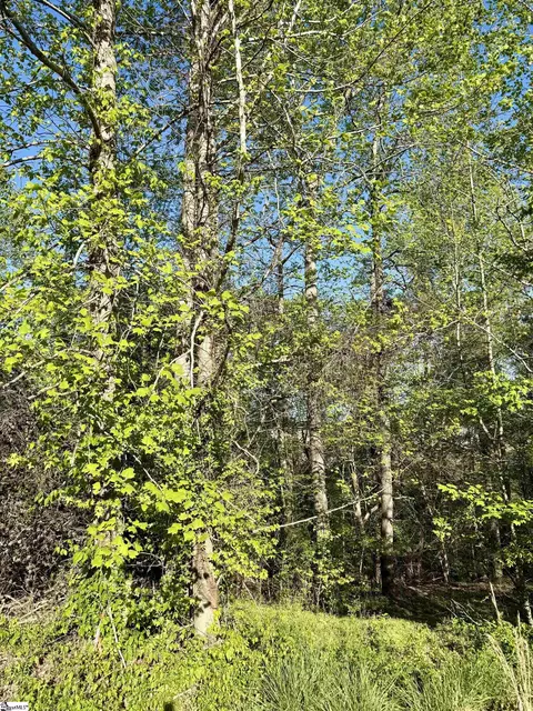 531 Scenic Oak Dr, Moore, SC 29369