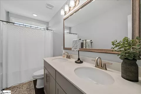 Bath - 298 Avendell Dr, Easley, SC 29642 photo 1 of 1
