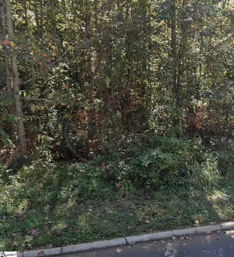 19 Daughtry Ct, Travelers Rest, SC 29690