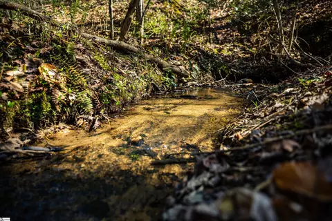 00 Marys Mountain Rd, Easley, SC 29640