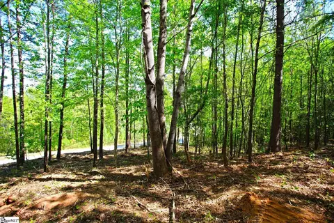 91 Harbor Pt, Seneca, SC 29672 photo 18