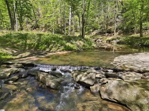 Other - Undisclosed, Mill Spring, NC 28756 photo 9 of 11