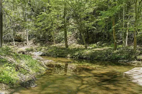 Other - Undisclosed, Mill Spring, NC 28756 photo 10 of 11