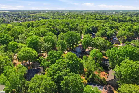 View/Area - 203 Tarleton Way, Greer, SC 29650 photo 5 of 7