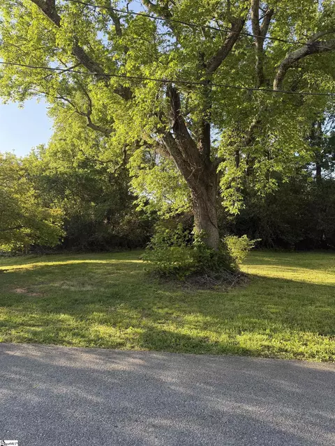 133 Williams St, Woodruff, SC 29388