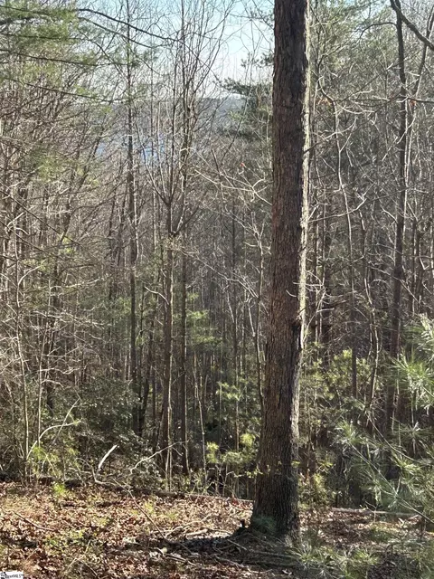 lot160 Club House Dr, Sunset, SC 29685