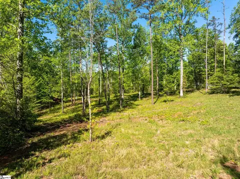 118 Harris Rd, Pickens, SC 29671 photo 21
