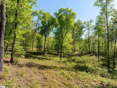 118 Harris Rd, Pickens, SC 29671 photo 22