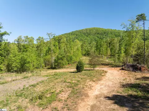 118 Harris Rd, Pickens, SC 29671 photo 13