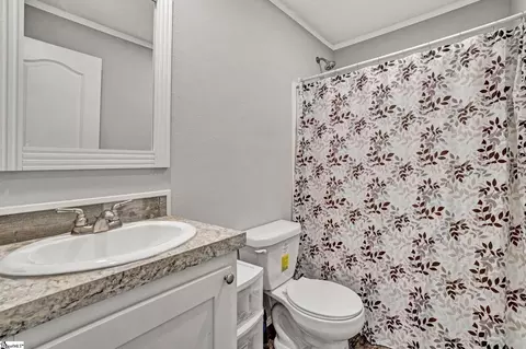 Bath - 121 Pendleton Woods Cir, Central, SC 29630 photo 4 of 4