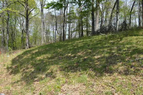 Other - 191 Flat Rock Hill Rd, Tryon, NC 28782 photo 2 of 5