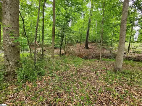 226 S Kings Dr, Fountain Inn, SC 29644