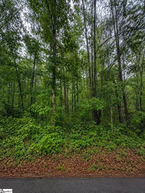 00 Valley Rd #LOT 1, Travelers Rest, SC 29690