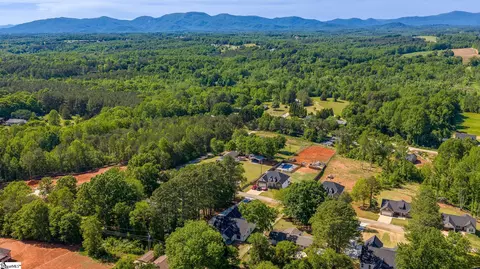 View/Area - 329 Wall St, Campobello, SC 29322 photo 1 of 3