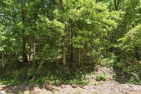 0 Perry Rd, Greer, SC 29651 photo 3