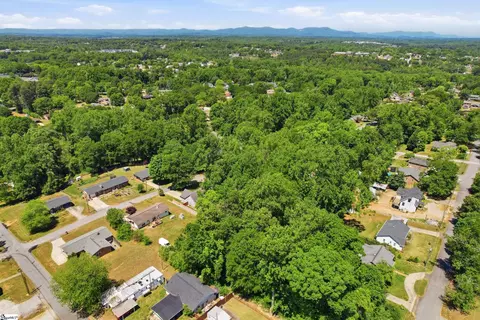 View/Area - 206 Kendrick St, Greer, SC 29651 photo 5 of 6