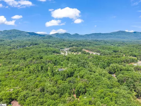 View/Area - 7 Heartstone Ln, Landrum, SC 29356 photo 1 of 2