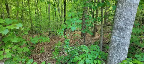 00 Lynden Loop, Westminster, SC 29693 photo 5