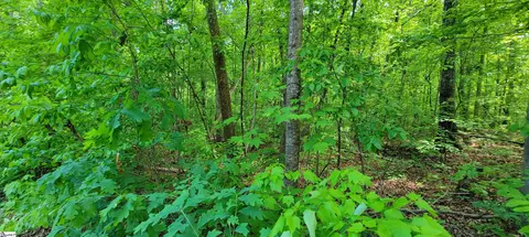 00 Lynden Loop, Westminster, SC 29693 photo 3