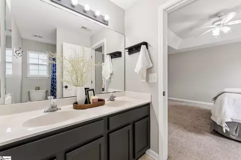 218 Spring Crossing Cir, Greer, SC 29650 photo 22