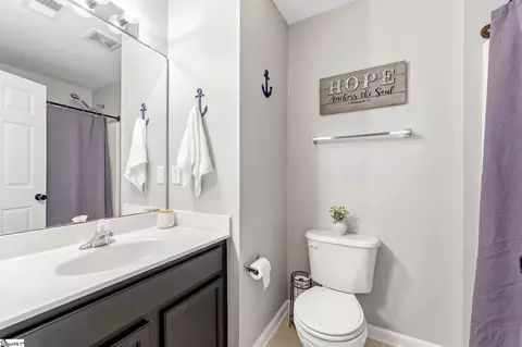 218 Spring Crossing Cir, Greer, SC 29650 photo 25