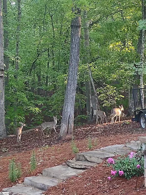Exterior - 123 Summit Pne, Sunset, SC 29685 photo 14 of 14
