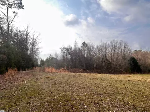 0 Hemlock Dr, Clinton, SC 29325 photo 12