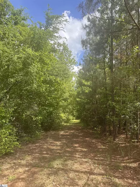 0 Hemlock Dr, Clinton, SC 29325 photo 4