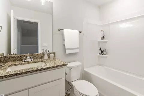 Bath - 192 Randwick Ln, Greer, SC 29651 photo 3 of 3
