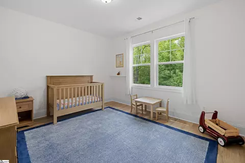 Other - 209 Eagles View Dr, Seneca, SC 29678 photo 6 of 8